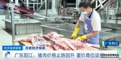 蔬菜价格8连降！猪肉价格大幅反弹 怎么回事？年底价格怎么走