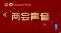 两会声音丨市政协委员、拉卡拉集团董事长孙陶然：挥动政府、市场“两只手”